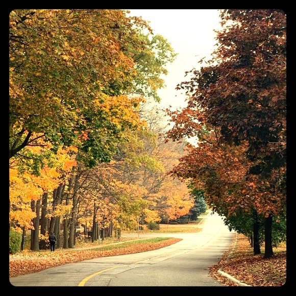 Meet your Posher, Nish - Picture 1 of 1